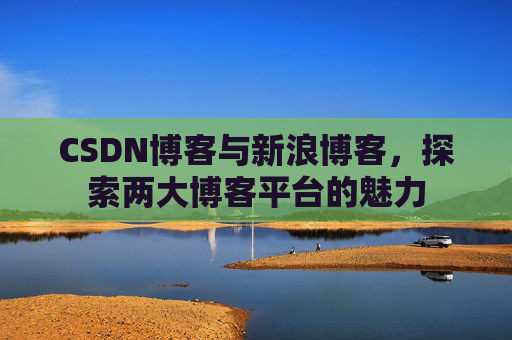 CSDN博客与新浪博客，探索两大博客平台的魅力